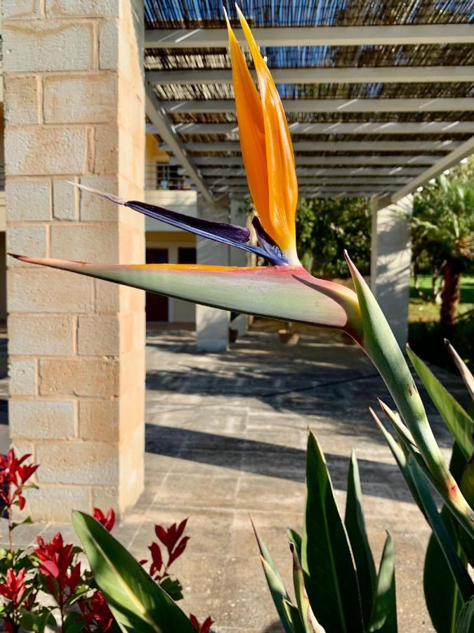 Aggelos And Thisbe Chania Suburbs Sea View Guest House Екстериор снимка